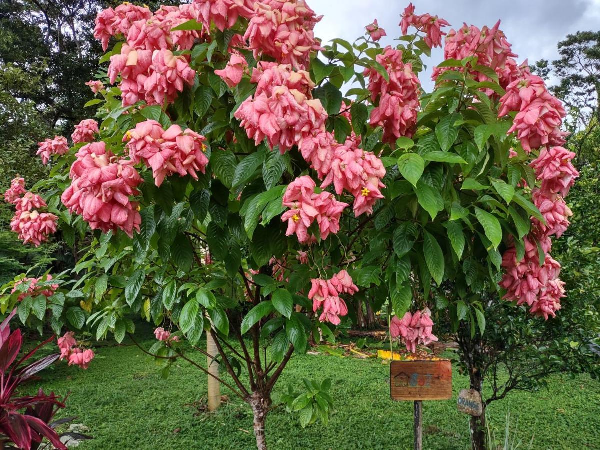 Mérida Finca Mystica מראה חיצוני תמונה