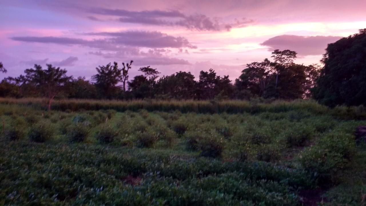 Mérida Finca Mystica מראה חיצוני תמונה